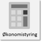 Økonomisystemer